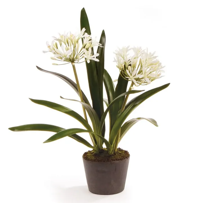 Agapanthus Drop-In Artificial Flower Arrangement 23″