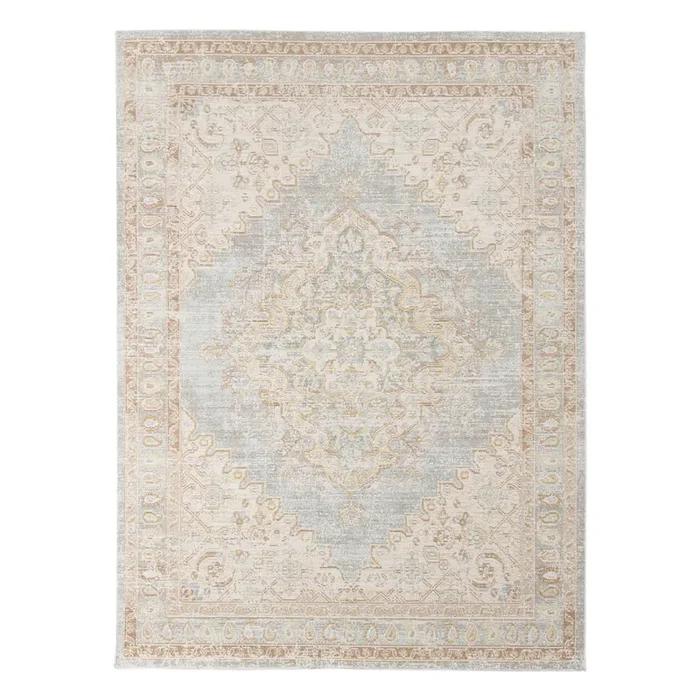 Amer Century Vintage Medallion Power-Loom Gray/Ivory Area Rug