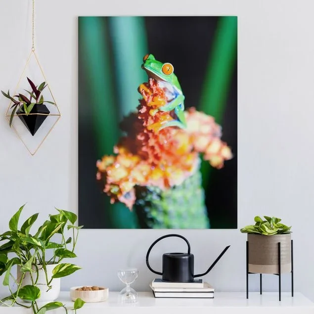 Leinwandbild Frosch in Costa Rica