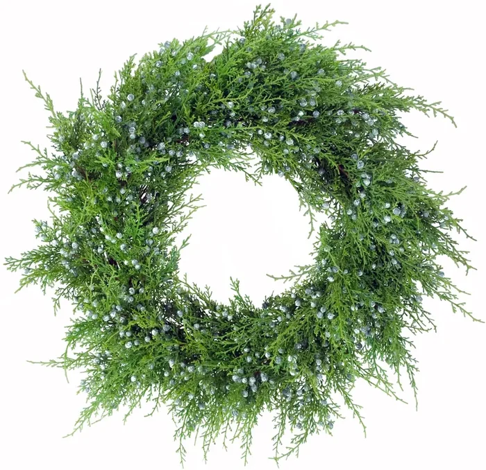 Oregan Juniper 24” Christmas Front Door Wreath, Set of 2