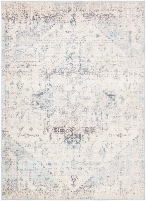 Surya Ankara Akr-2310 Pale Blue, Light Gray, Bright Blue, Ivory Rugs